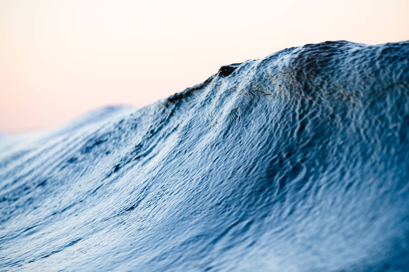 LE BLUE