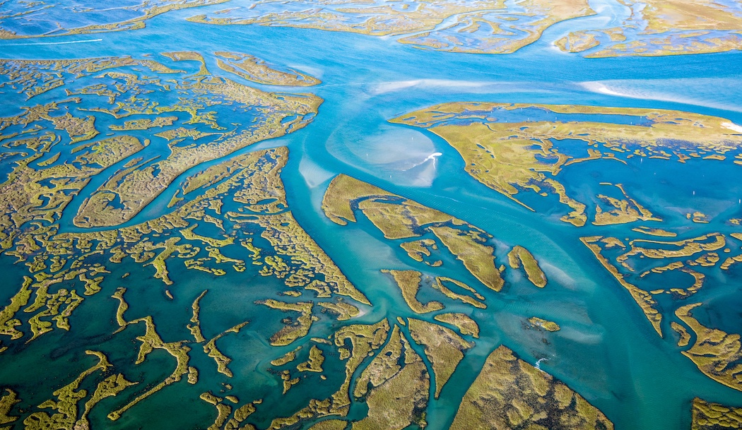 MARSH