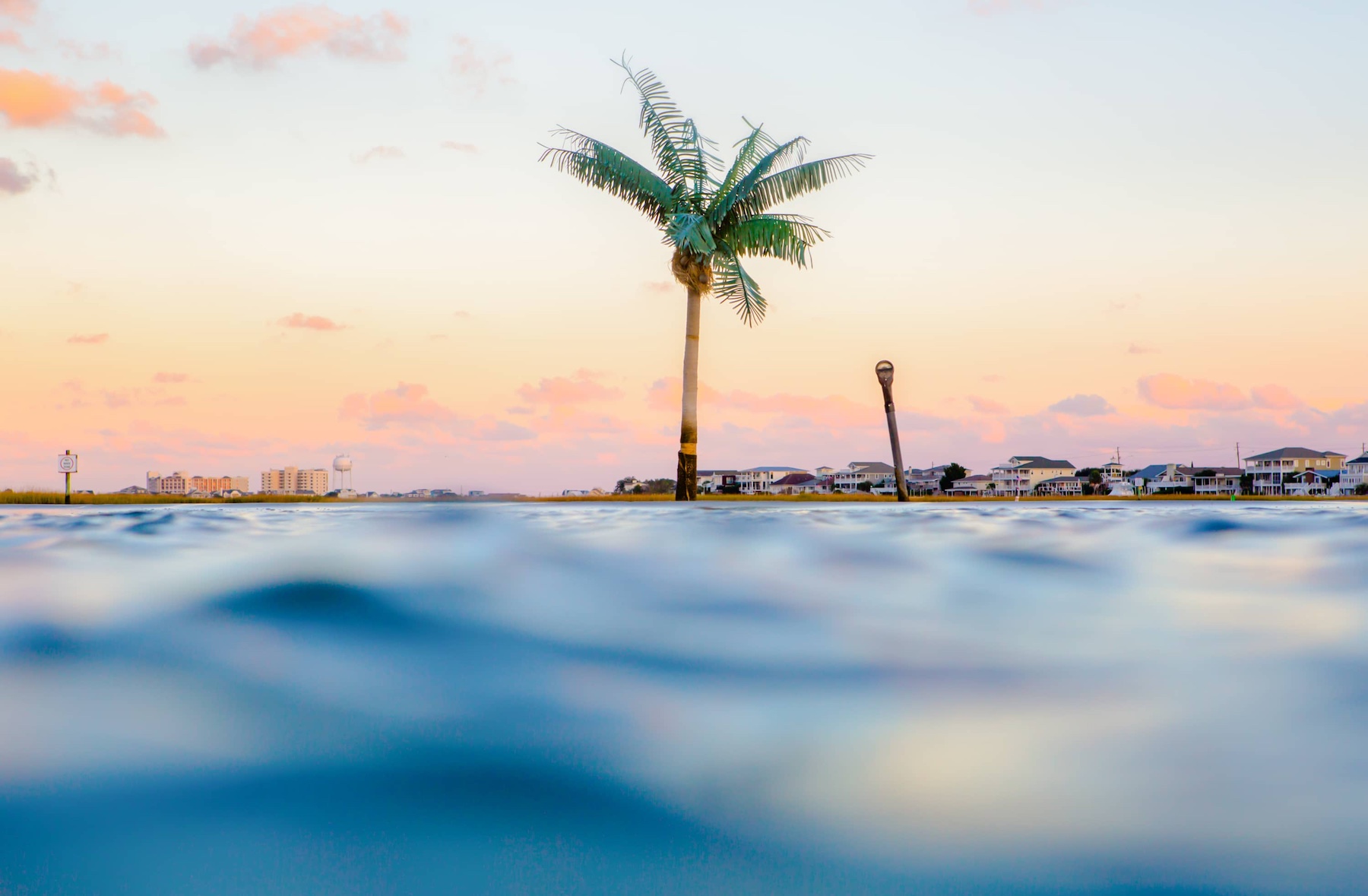 PALM TREE ISLAND