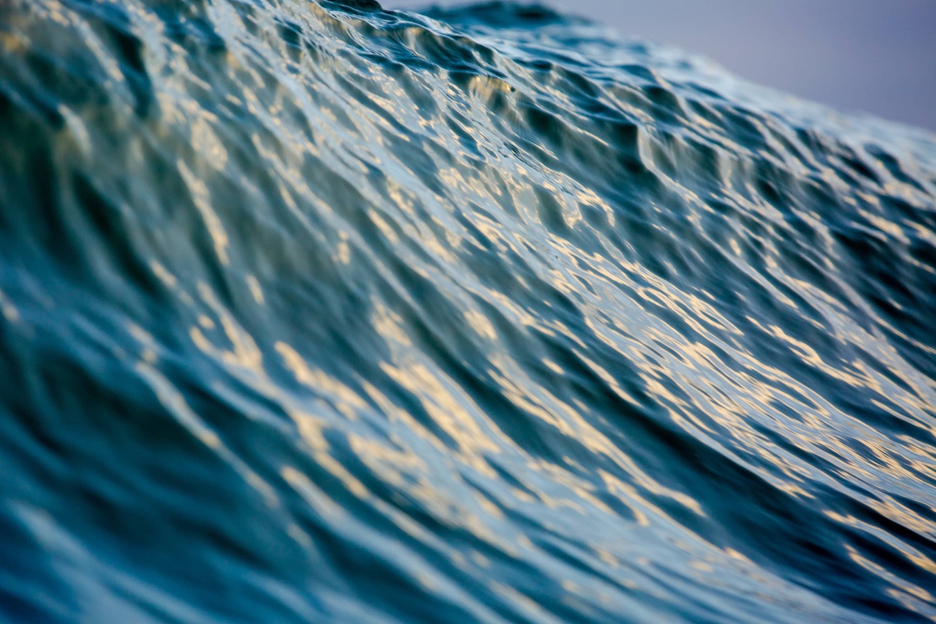 SALTY LAYERS