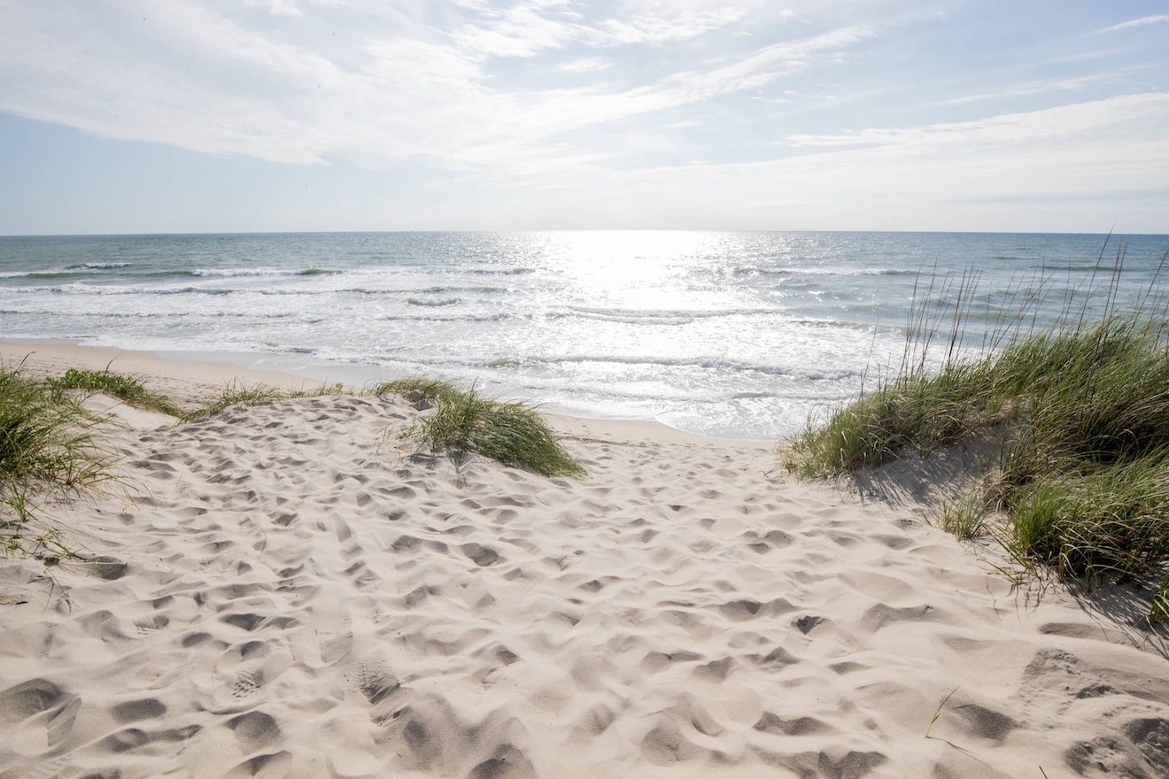 SANDY STEPS